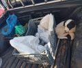 Ιτέα Φωκίδας: Συνέλαβαν 2 άνδρες που είχαν κλείσει σε τσουβάλια 2 σκυλιά για να τα πνίξουν