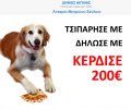 Στην Αίγινα αν τσιπάρεις τον σκύλο σου μπορεί να κερδίσεις και 200 ευρώ (βίντεο)