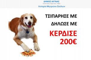Στην Αίγινα αν τσιπάρεις τον σκύλο σου μπορεί να κερδίσεις και 200 ευρώ (βίντεο)