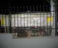 Ηράκλειο Κρήτης: Έχει τον σκύλο του κλεισμένο σε κλουβί