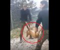 Φαντάροι σε στρατόπεδο της Κόνιτσας Iωαννίνων πέταξαν ζωντανό σκύλο σε γκρεμό & ανέβασαν βίντεο στο facebook
