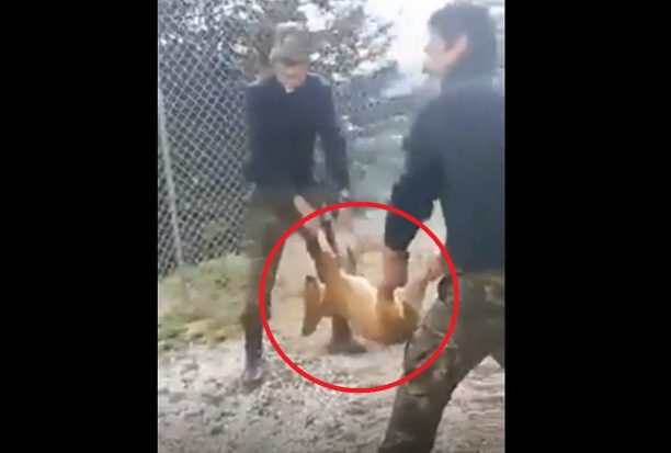Φαντάροι σε στρατόπεδο της Κόνιτσας Iωαννίνων πέταξαν ζωντανό σκύλο σε γκρεμό & ανέβασαν βίντεο στο facebook