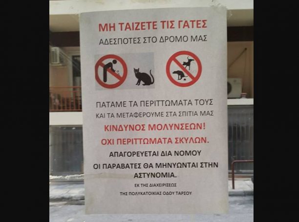Αθήνα: Απειλούν τους ενοίκους της πολυκατοικίας που ταΐζουν τις αδέσποτες γάτες