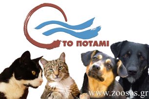 «Νίκησε ο Αζόρ» επισημαίνει Το Ποτάμι για την απόσυρση του νομοσχεδίου για τα ζώα συντροφιάς