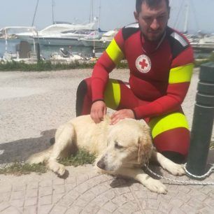 Έσωσαν σκύλο που είχε εγκλωβιστεί στα βράχια του κυματοθραύστη στην Πάτρα (βίντεο) 5 DiasosiSkylouPatraKymatothrafstis 12