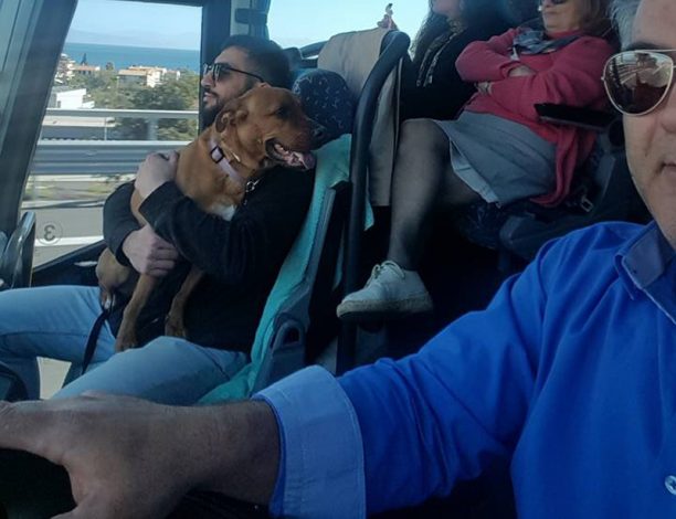 Οδηγός του Κ.Τ.Ε.Λ. Κεφαλλονιάς βγάζει σέλφι με τον σκύλο επιβάτη
