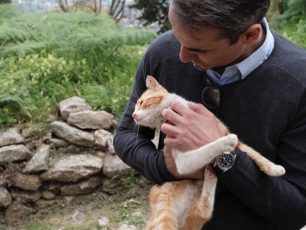Ζητούν παρέμβαση του πρωθυπουργού Κ. Μητσοτάκη για να τερματιστεί η κακοποίηση ζώων στην Ελλάδα