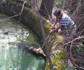 Πνίγηκε το ένα από τα δύο σκυλιά που έπεσαν σε πηγάδι στο χωριό Πολυάνεμος Καστοριάς