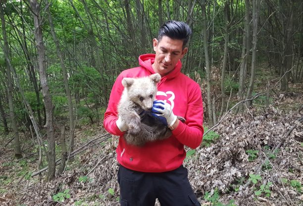 Το αρκουδάκι που βρέθηκε στην Τριανταφυλλιά Φλώρινας φροντίζει ο ΑΡΚΤΟΥΡΟΣ (βίντεο)