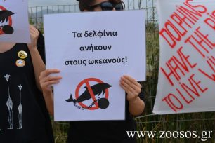 Γιατί επιτρέπει η κυβέρνηση ΣΥ.ΡΙΖ.Α. τις παραστάσεις τσίρκο με δελφίνια στο Αττικό Ζωολογικό Πάρκο; – Διαμαρτυρία στο κέντρο της Αθήνας 15/2