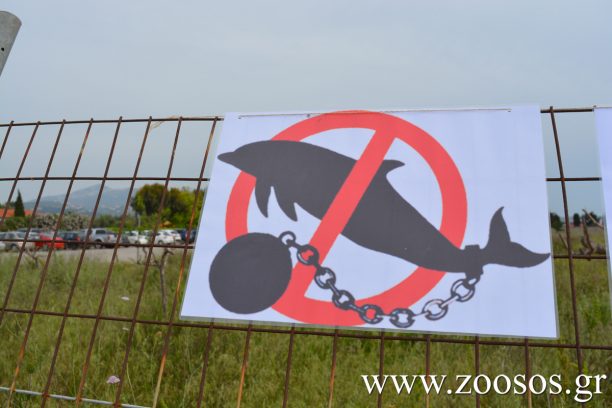 Υποκρισία εκ μέρους του Γ. Τσιρώνη για τα δελφίνια & τις παράνομες παραστάσεις τσίρκο στο δελφινάριο του Αττικού Ζωολογικού Πάρκου