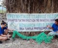 Έσωσαν θαλάσσια χελώνα που είχε παγιδευτεί σε δίχτυα κοντά στην παραλία του Καλού Νερού Μεσσηνίας