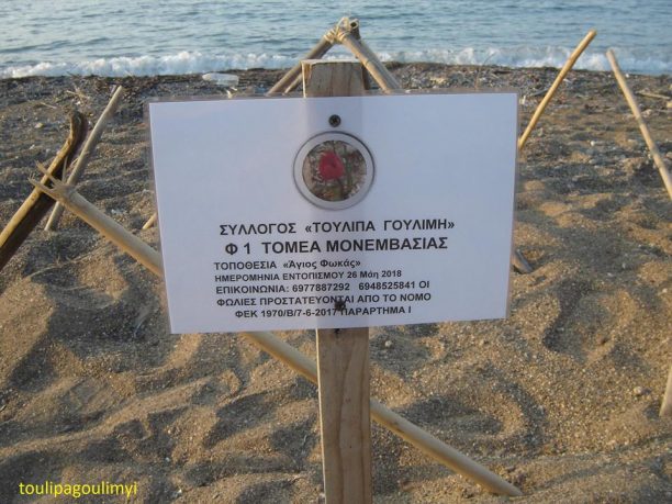 Λακωνία: Καταστρέφουν τη σήμανση που προειδοποιεί διερχόμενους για φωλιές θαλάσσιων χελώνων