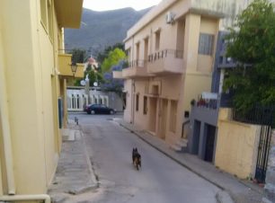 Κρήτη: Έριξε φόλες σε παιδική χαρά στη Νεάπολη Λασιθίου και δηλητηρίασε σκυλιά & σπουργίτια