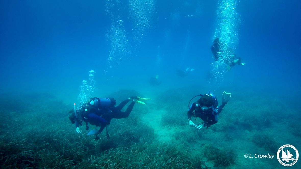 ΑΡΧΙΠΕΛΑΓΟΣ: To Sea Diamond επί 11 χρόνια μολύνει τη θαλάσσια περιοχή της Σαντορίνης 2 SeaDiamondSantorini 1