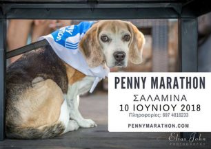 «Penny Marathon»: Αγώνας δρόμου για το καλό των αδέσποτων στη Σαλαμίνα την Κυριακή 10/6