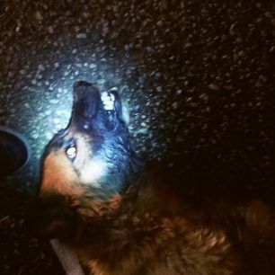 AgioPnevmaSerronDilitiriasmenosSkylos 2