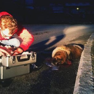 AgioPnevmaSerronDilitiriasmenosSkylos 3