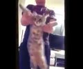 Παιδί κακοποιεί γάτα και η μάνα του ανεβάζει περήφανη το βίντεο στο facebook