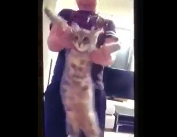 Παιδί κακοποιεί γάτα και η μάνα του ανεβάζει περήφανη το βίντεο στο facebook
