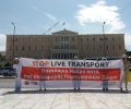 Συμβολική διαμαρτυρία στην πλατεία Συντάγματος ενάντια στη μεταφορά ζώντων ζώων