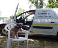 Ζ. Κοντού: Δεκάδες αδέσποτα στειρώθηκαν στον Δήμο Εμμανουήλ Παππά από τους εθελοντές κτηνίατρους της οργάνωσης «Vets in Action» (ηχητικό)