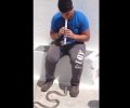 Στην Αμοργό ένα παιδί καλωσόρισε ένα φίδι με τη φλογέρα του (βίντεο)