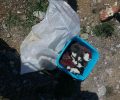 Αιτωλοακαρνανία: Βρήκαν στη Ναύπακτο 11 γατάκια ζωντανά σε τσουβάλι πεταμένα σε κάδο σκουπιδιών (βίντεο)