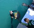Α. Μήλιου: Εξαιρετικά ανησυχητική η αύξηση των θανάτων των θαλάσσιων χελωνών στο Ανατολικό Αιγαίο (ηχητικό)