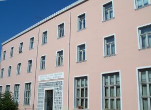 Πόσο επικίνδυνες μπορεί να είναι 3 γάτες που απομακρύνθηκαν απ' τον περίβολο του νοσοκομείου «Αμαλία Φλέμινγκ» στα Μελίσσια Αττικής;