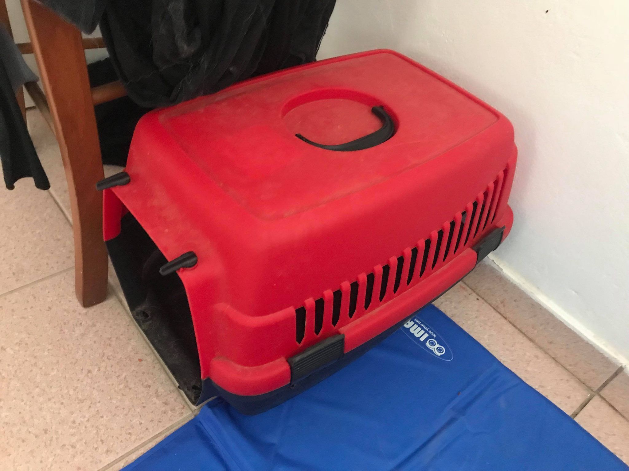 AntiparosSkylosLimani 1