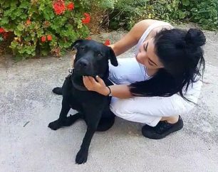 Χάθηκε αρσενικός σκύλος μαύρο Λαμπραντόρ στον Άγιο Δημήτριο στο Λαγονήσι Αττικής