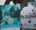 Και στις 26/7 έως στις 21:00 οι κτηνίατροι της Ε.Δ.Κ.Ε. στο λιμάνι της Ραφήνας Αττικής για περίθαλψη ζώων