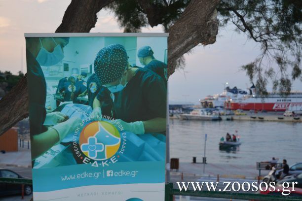Και στις 26/7 έως στις 21:00 οι κτηνίατροι της Ε.Δ.Κ.Ε. στο λιμάνι της Ραφήνας Αττικής για περίθαλψη ζώων