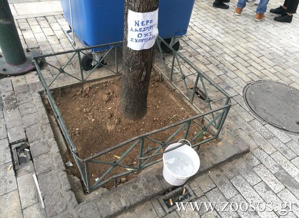 Τα ζώα χρειάζονται το νερό όπως και εμείς!