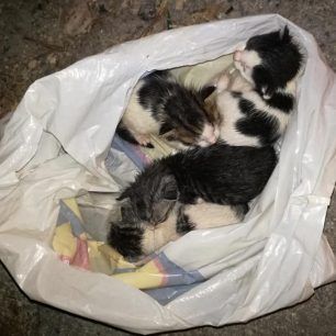 RethymnoGatakiaSakoula 1