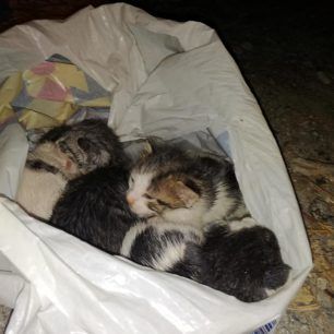 RethymnoGatakiaSakoula 3