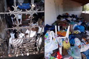 Έκκληση για τα 34 σκυλιά που βρέθηκαν σε άθλιες συνθήκες σε σπίτι συλλεκτριών στα Σπάτα Αττικής (βίντεο)
