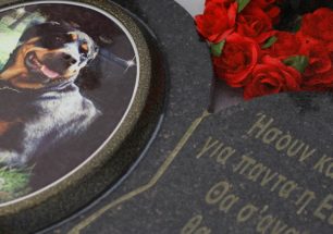Νεκροταφείο ζώων στο Πικέρμι Αττικής προσφέρει δωρεάν τις υπηρεσίες του για κατοικίδια που πέθαναν στις φωτιές