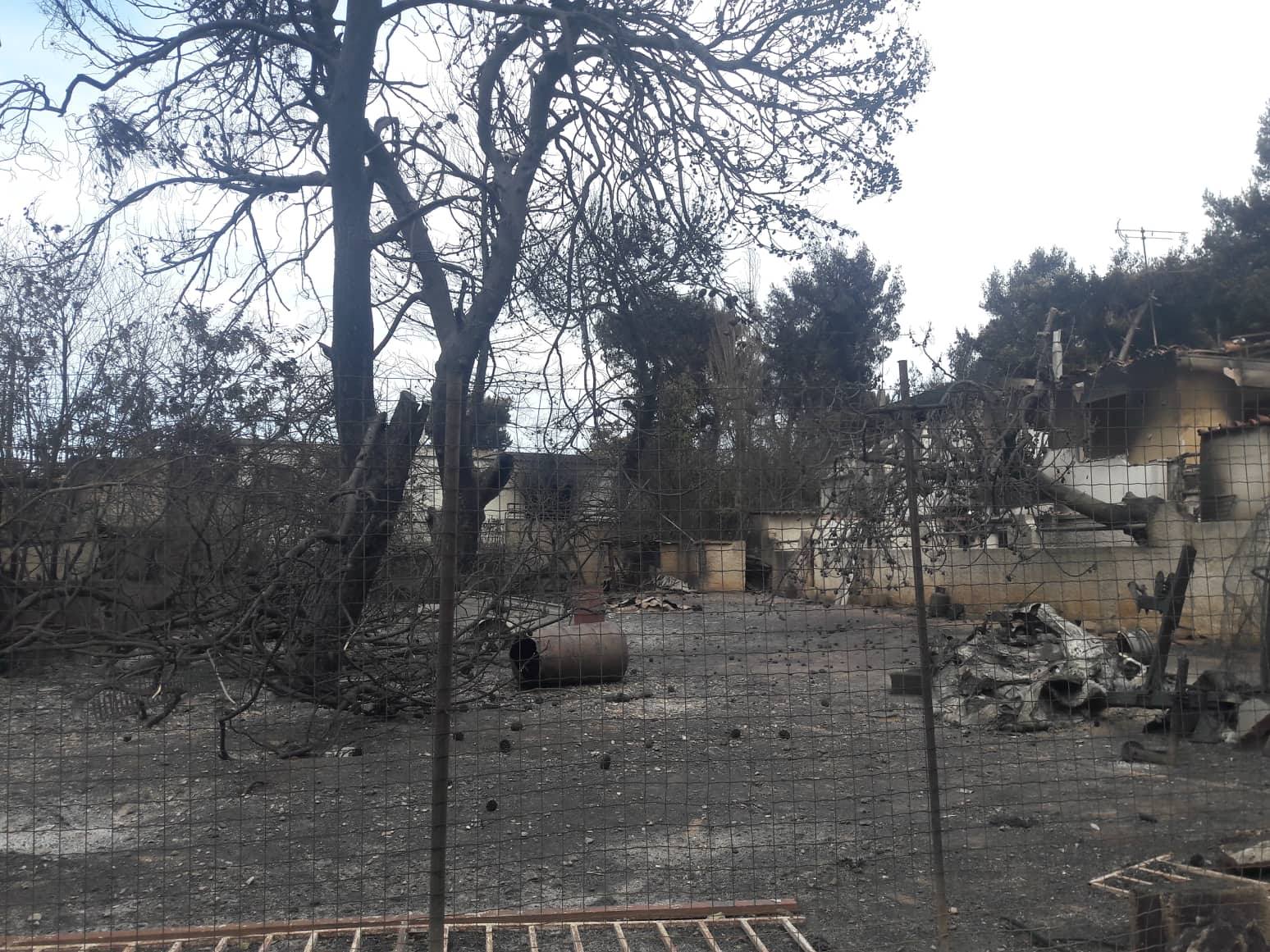Πληροφορίες για το που να πάτε τραυματισμένα ζώα απ' τις πυρόπληκτες περιοχές - Χώροι φιλοξενίας - Συγκέντρωση και προσφορά ζωοτροφών & φαρμάκων 2 VareliKameno