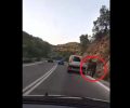 Λέσβος: Συνελήφθη άνδρας που είχε δεμένο άλογο στο εν κινήσει όχημα του