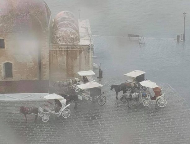 Κρήτη: Αμαξάδες στα Χανιά άφησαν τα άλογα τους εκτεθειμένα στην καταρρακτώδη βροχή