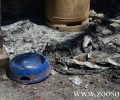Κάηκε μαζί με τα δεκάδες ζώα της στο σπίτι της στη Νέα Μάκρη Αττικής (βίντεο)
