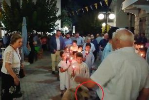 Αγία Ευθυμία Φωκίδας: Εκκλησιαστικός επίτροπος κλώτσησε σκύλο μπροστά στα παιδιά την ώρα της λιτανείας (βίντεο)