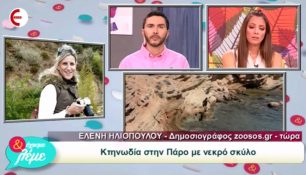 Ελ. Ηλιοπούλου: Οι αυτόπτες μάρτυρες εγκλημάτων κατά των ζώων πρέπει να βρίσκουν το θάρρος και να κάνουν καταγγελίες (βίντεο)