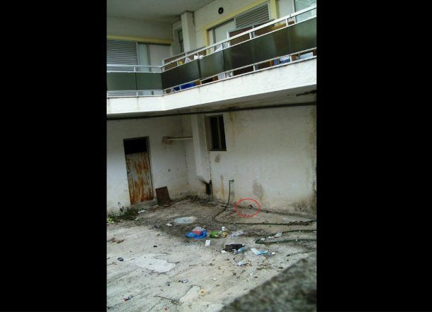 Έκκληση για τη σωτηρία γάτας που βρίσκεται για μέρες εγκλωβισμένη σε κτίριο στα Μουδανιά Χαλκιδικής