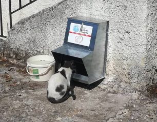 25 ταΐστρες για αδέσποτες γάτες σε Μάτι, Κόκκινο Λιμανάκι και Βουτζά Αττικής