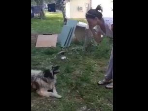 Ο ηθοποιός Βασίλης Χαραλαμπόπουλος βρήκε στο Πήλιο τον σκύλο που είχε χάσει πριν από δυόμιση χρόνια (βίντεο)
