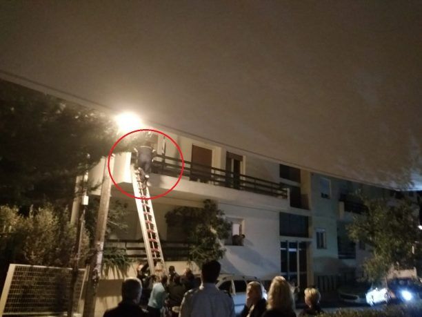 Αχαΐα: Πυροσβέστες έσωσαν 2 σκυλιά που η ιδιοκτήτρια τους άφησε χωρίς τροφή & νερό στην Αρόη Πατρών (βίντεο)