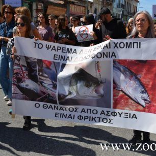 DiamartyriaPoreiaAthensOkt2018 21